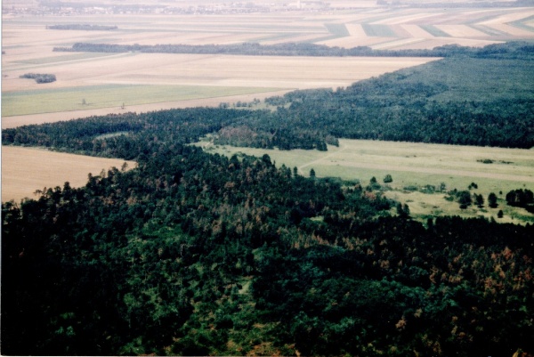 Heide 1992.jpg