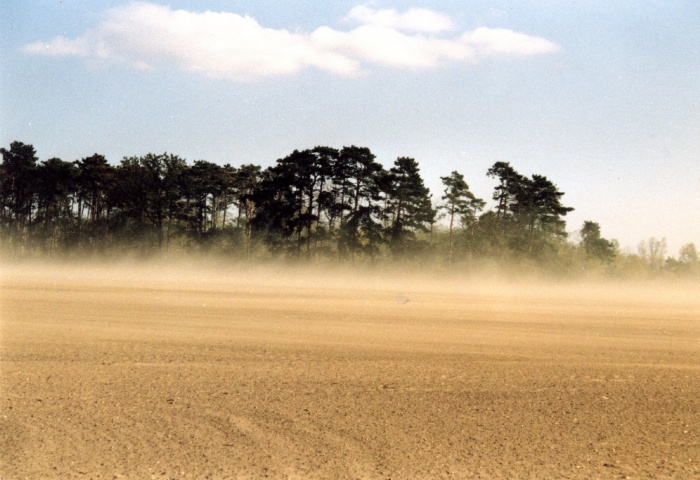 Sandsturm 3 1992.jpg