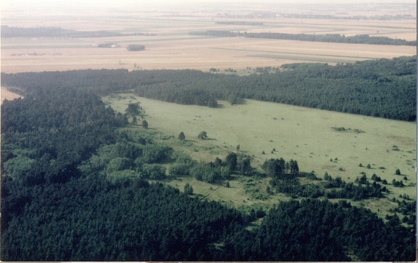 Heide 1986.jpg
