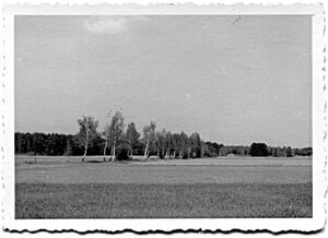 Birkenalle-lang 1956.jpg