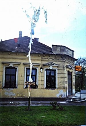 Ossi 1ter Maibaum mit Windel-w1.jpg