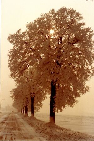 Bahnstrasse 1965-70 Klinkrnziegel.jpg