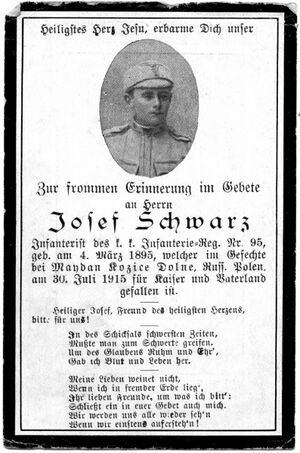 Josef Schwarz.jpg