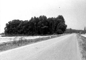 Untersiebenbrunnerstrasse Franzosenfriedhof 1970er.jpg