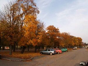 Herbststimmung Prinz Eugenstraße.JPG