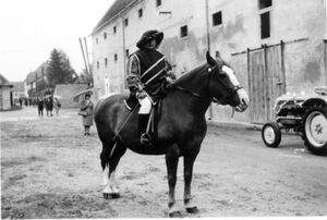 Musketiere-2-Weikendorf bei Musikfest 1960er.jpg