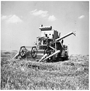 Johann Pribyl auf Claas SF 1958.jpg