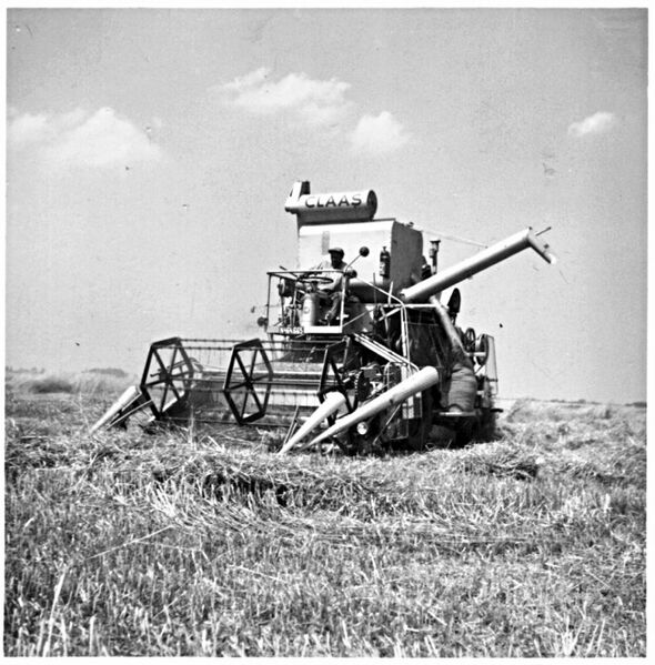 Datei:Johann Pribyl auf Claas SF 1958.jpg