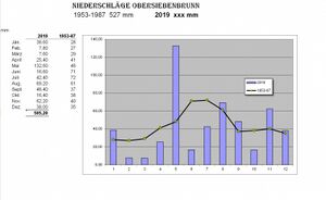 Niederschlag-2019.jpg