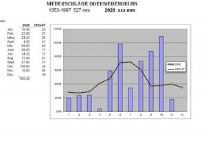 Niederschlag-2020.jpg