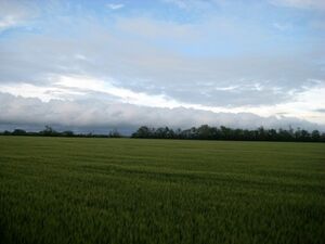 IMG 0810.JPG